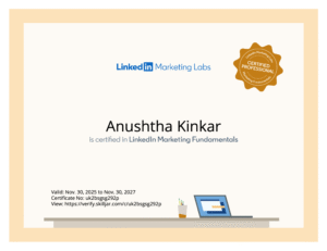 Certified Linkedin Ads Expert